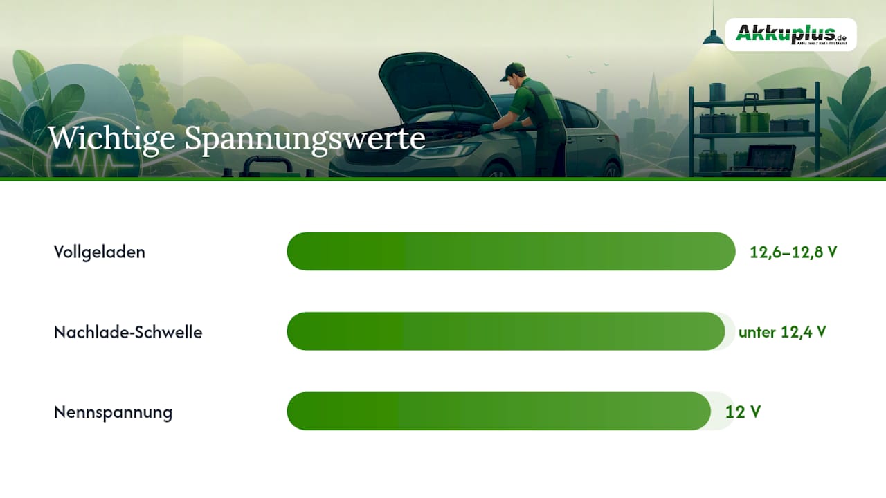 Was tun bei frühzeitigem Ausfall der neuen Batterie? — overview diagram